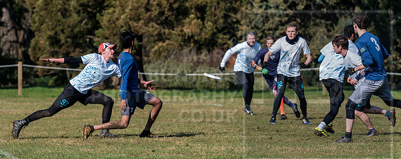 DSC_8735 Edit Free Crop