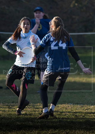 DSC_2295 Edit 5 x 7 Crop